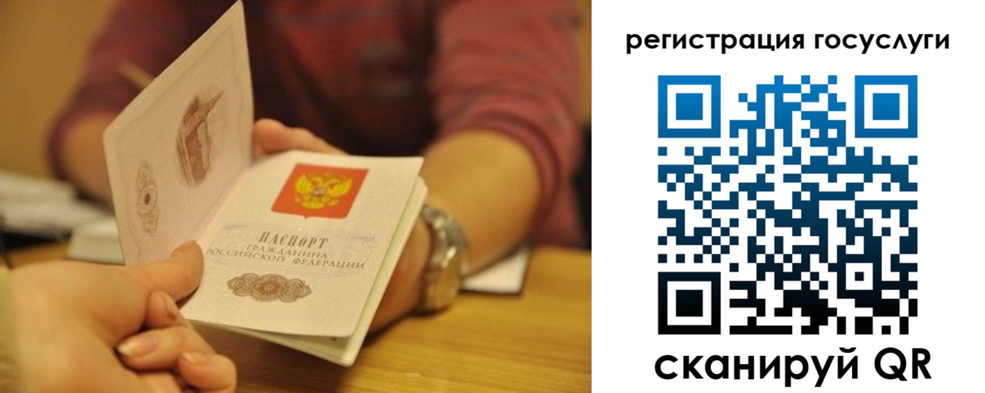 временная регистрация для всех в Волосово